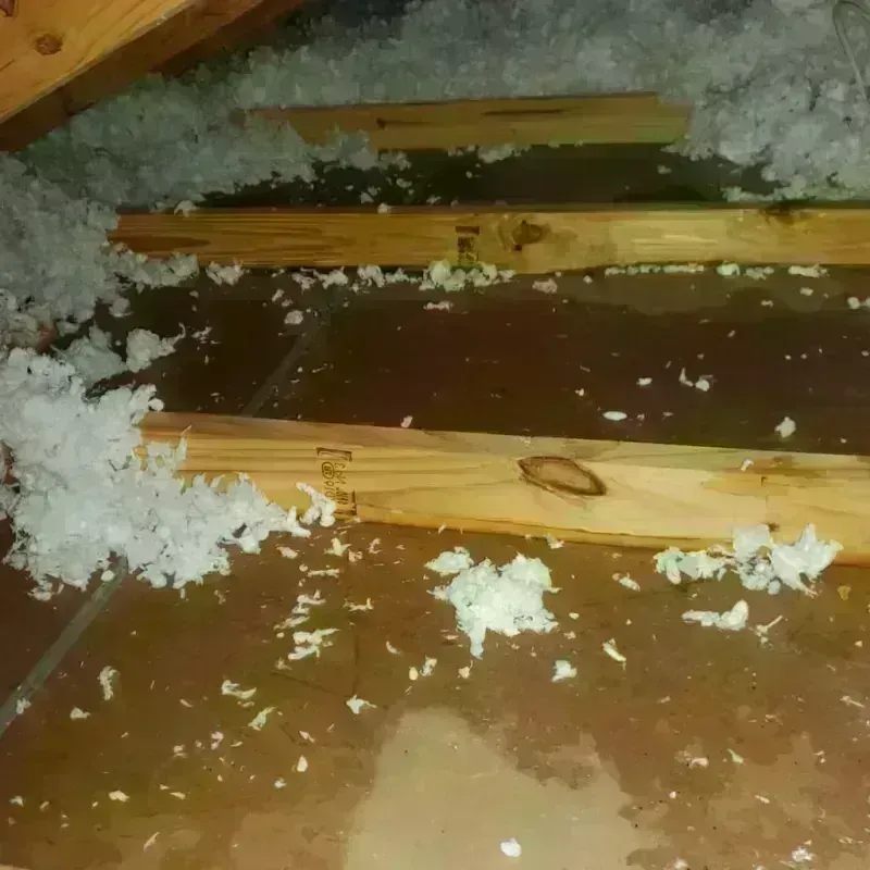 Attic Water Damage in East San Gabriel, CA